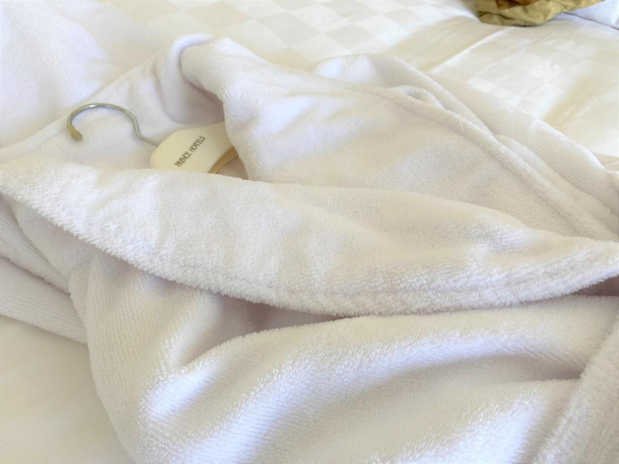 Sapporo Prince Hotel Extérieur photo Terry cloth